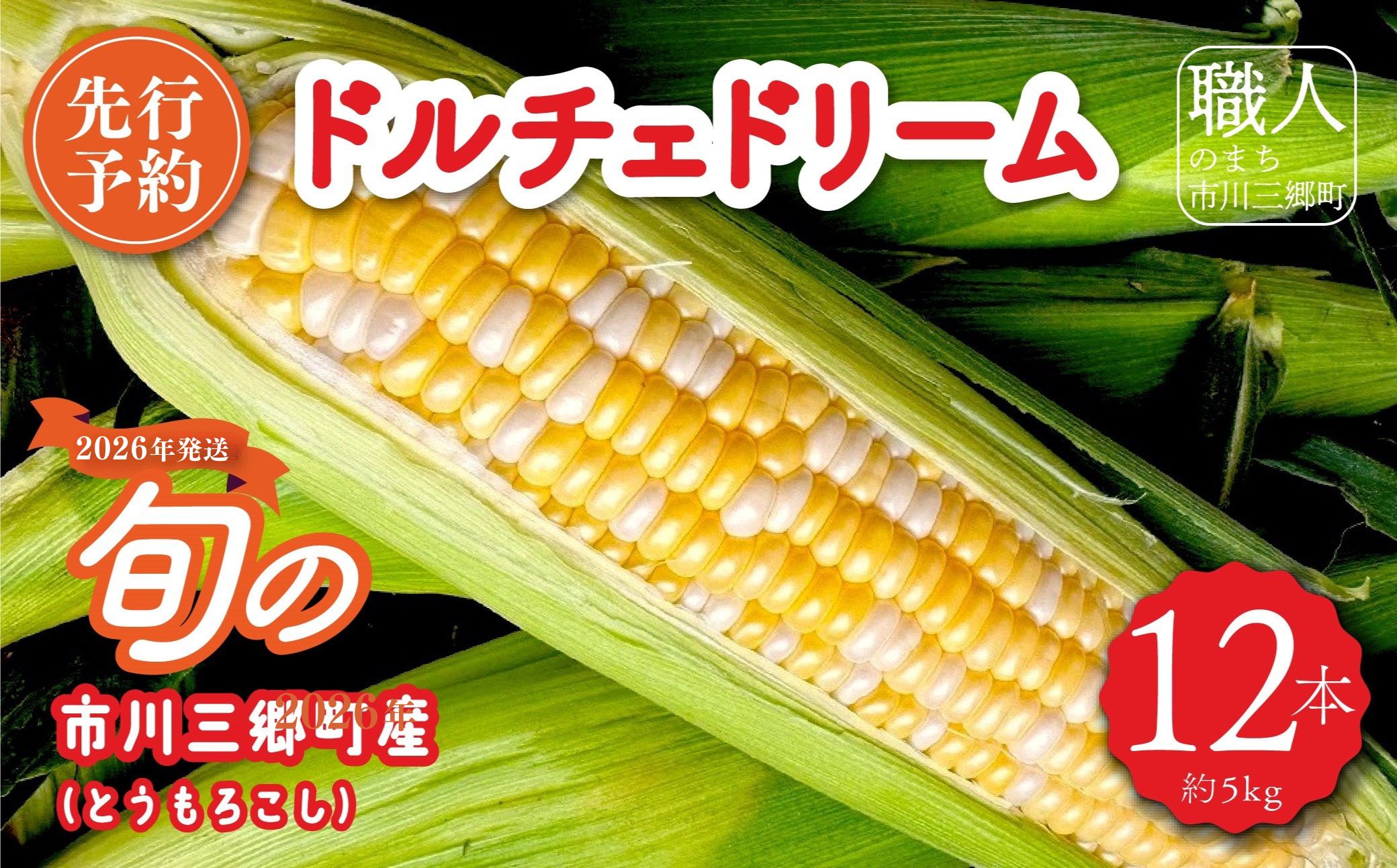 2026N6{甭ŷzh`Fh[@PQ{iTkgj@qTChI[`[h[5839-2089]RsO13000؁ÊƂ낱