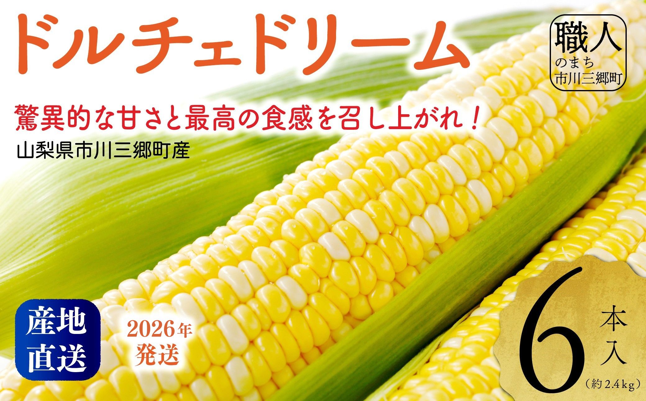 2026NIyRsOYzInakakarauh`Fh[v6{[5839-2164]RsO16000؁ÊƂ낱