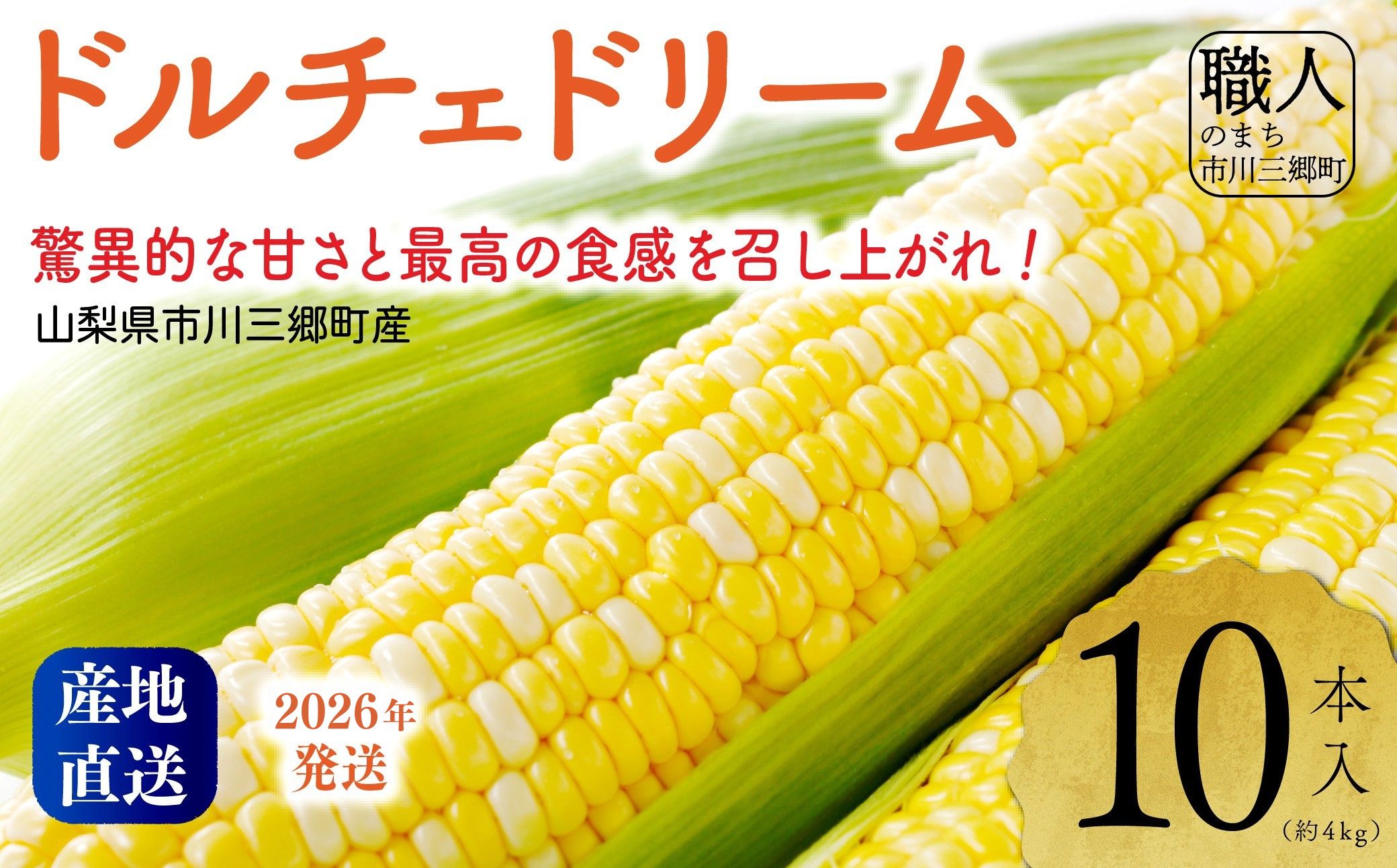 2026NIyRsOYzInakakarauh`Fh[v10{[5839-2165]RsO24000؁ÊƂ낱