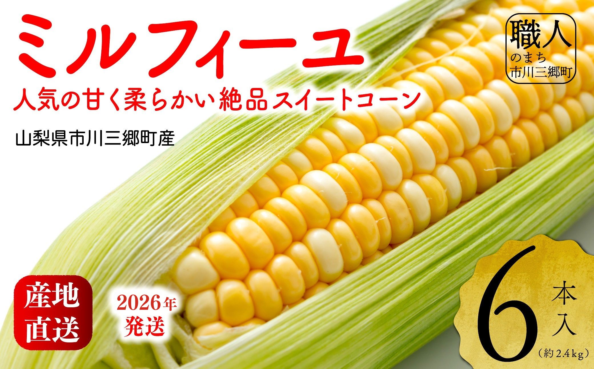 2026NIyRsOYzInakakarau~tB[v6{[5839-2167]RsO16000؁ÊƂ낱
