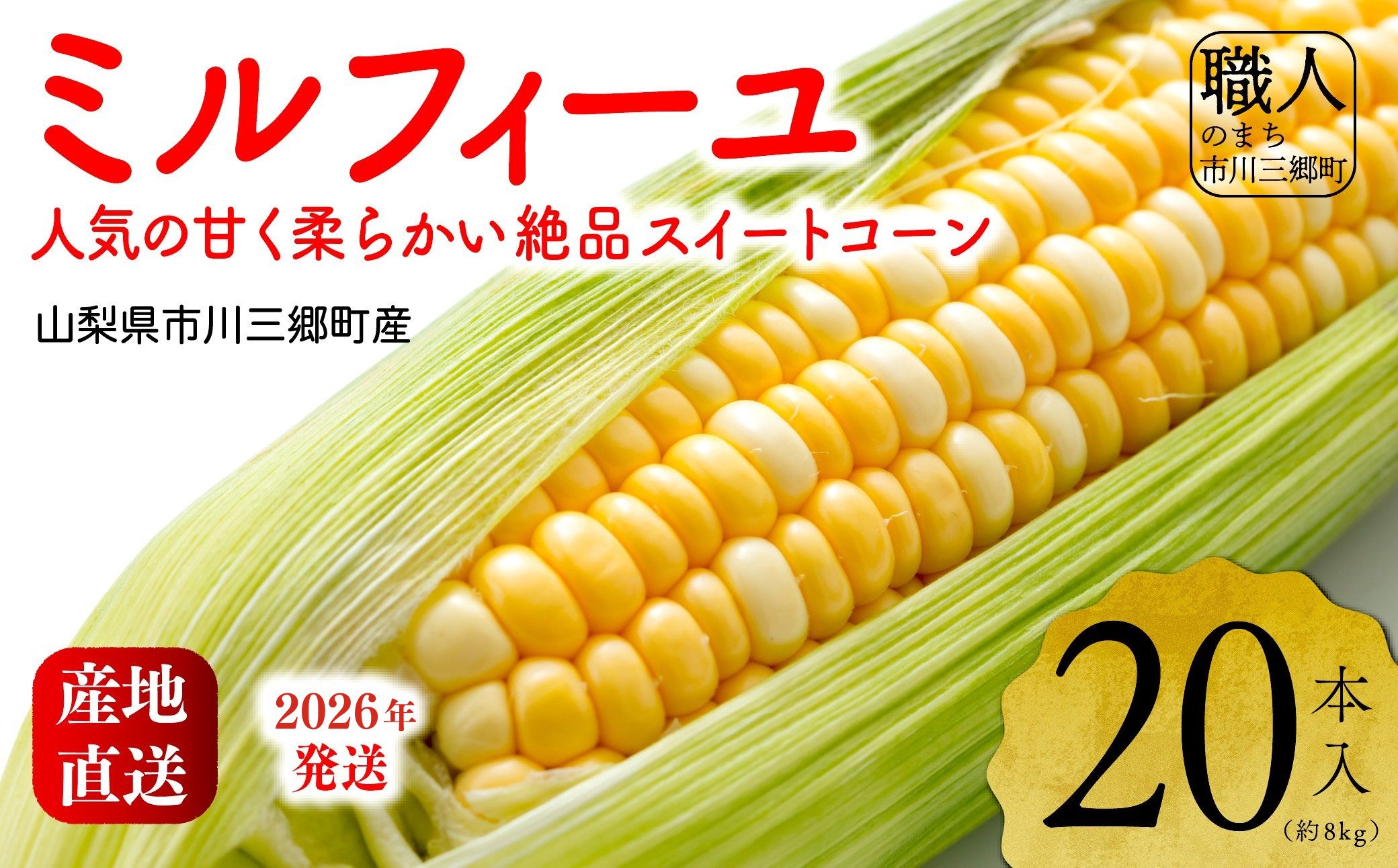 2026NIyRsOYzInakakarau~tB[v20{[5839-2169]RsO43000؁ÊƂ낱