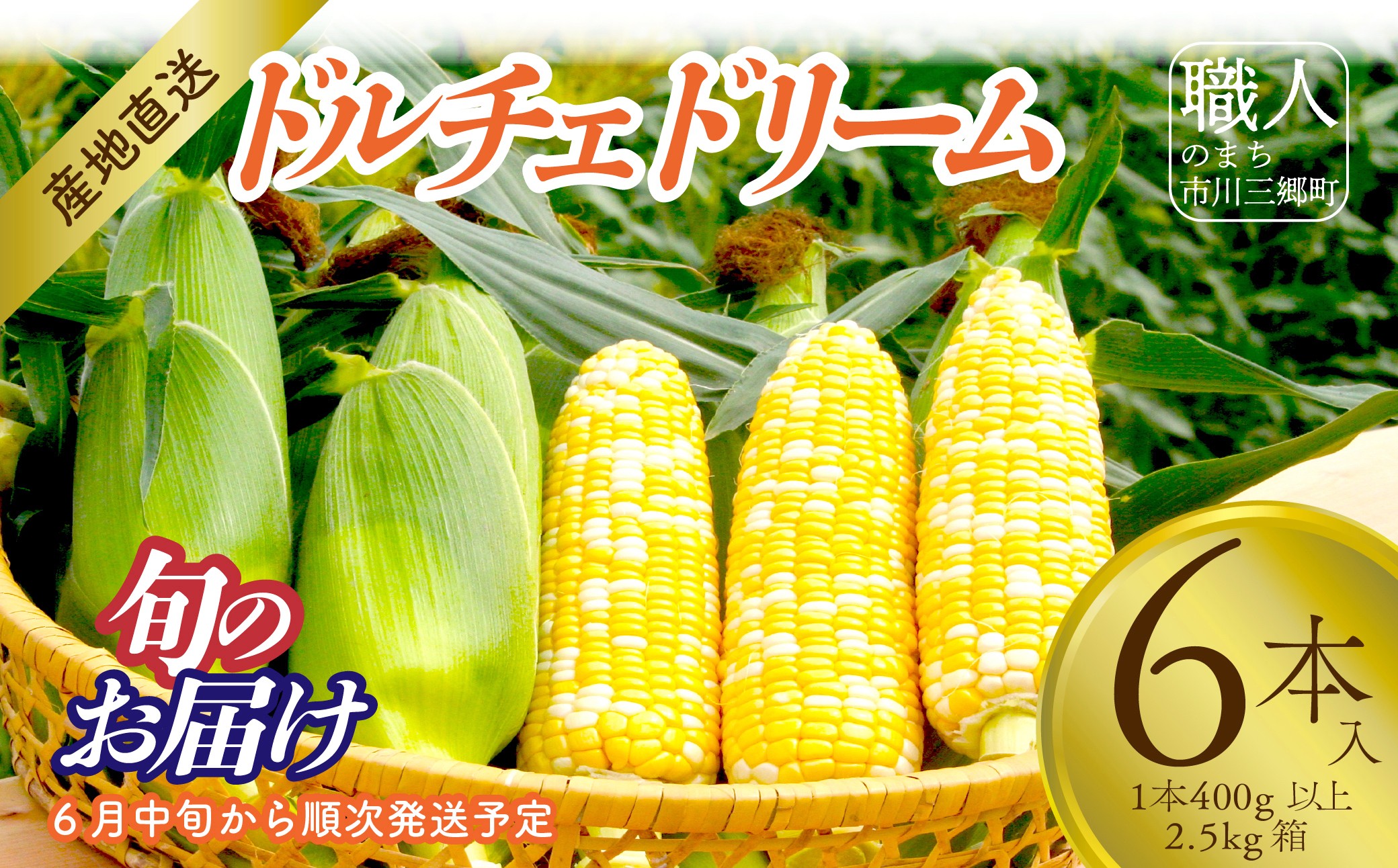 y2026N6{甭zƂ낱uh`Fh[v6{ 1{400gȏ 2.5kg ЃAObiRsOYj[5839-2214]RsO7000؁ÊƂ낱