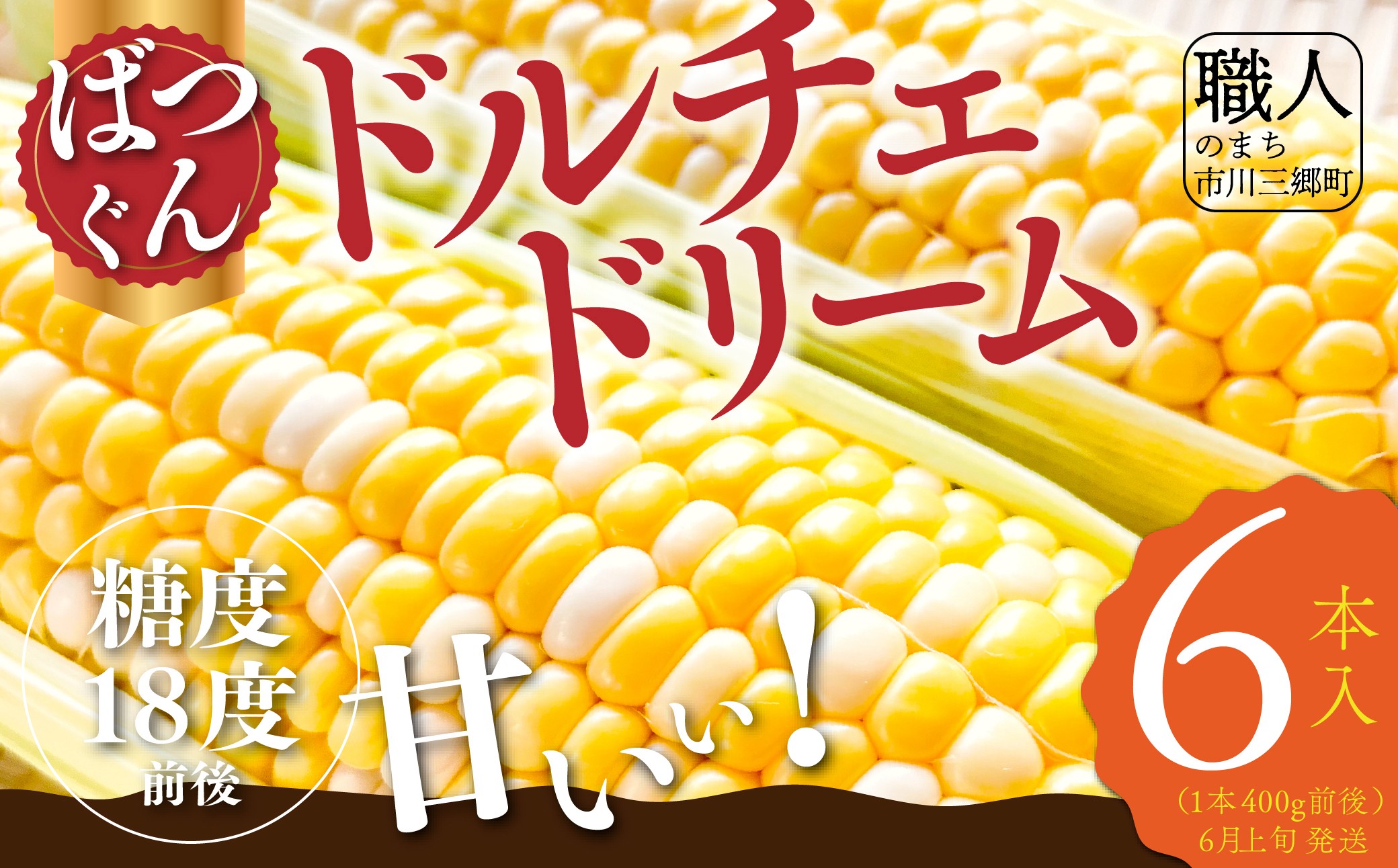 y2026N6{甭zh`Fh[ 6{ REGALOiRsOYj [5839-2228] RsO10000؁ÊƂ낱