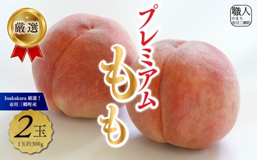 ysOYzv~A 2ʁ@y2026N7{甭zIInakakara[5839-2017]RsO11000ʕEt[c
