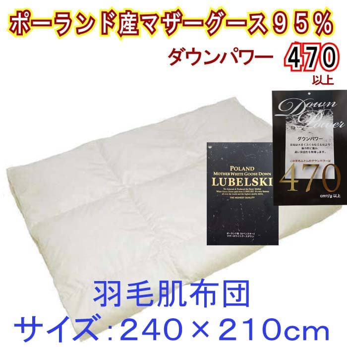 y|[hY}U[O[X95%zHєzc 2S0×210cm LOy_Ep[470zRss290000G݁EpiQE^I