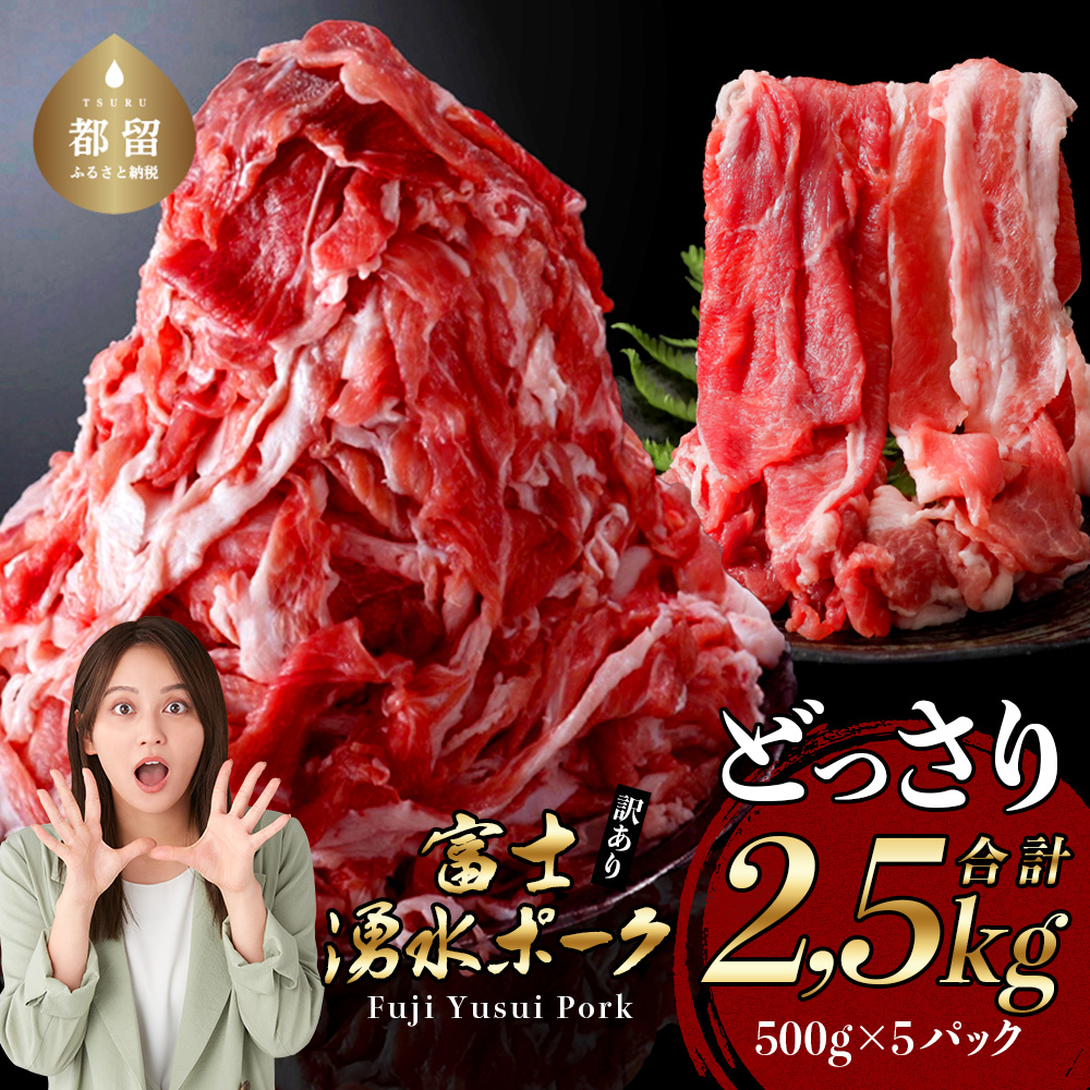 【9/1申し込みより冷凍発送】 【食べ応え満点】訳あり!富士湧水ポークの切り落とし 2.5kg 豚肉 切り落とし 国産豚 小分け 炒め物 不揃い 訳アリ わけあり 訳あり 山梨都留市山梨県都