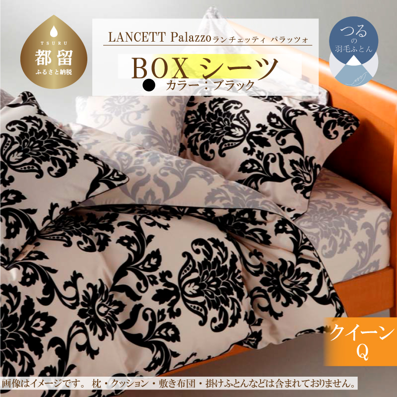 LANCETTI`FbeBPalazzopbcH BOXV[cyQ(NC[)TCYzyubNzy{zRss23000G݁EpiQE^I