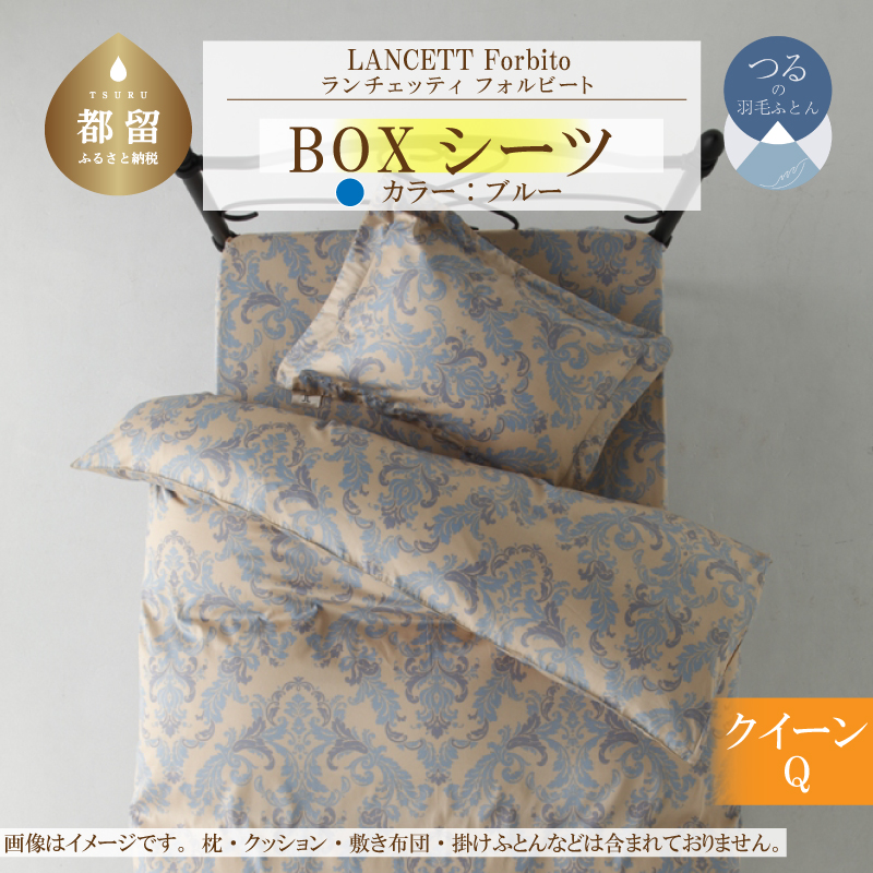 LANCETTI`FbeBForbitotHr[g BOXV[cyQ(NC[)TCYzyu[zy{zRss23000G݁EpiQE^I
