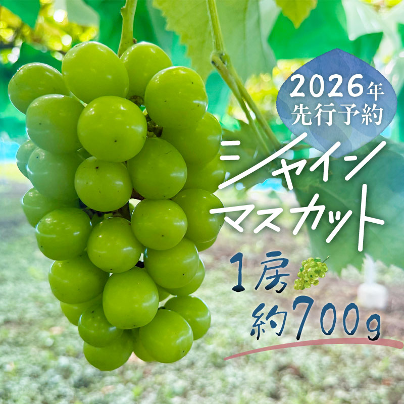 y2026Ns\zVC}XJbg 1[i700gjRss9500ʕEt[c