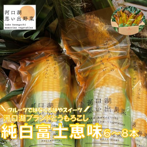 先行受付] こしひかり [日光ダイヤ舞／玄米20kg (5kg×4袋)] 令和