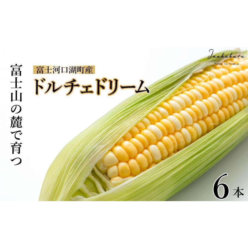 先行受付] こしひかり [日光ダイヤ舞／玄米20kg (5kg×4袋)] 令和
