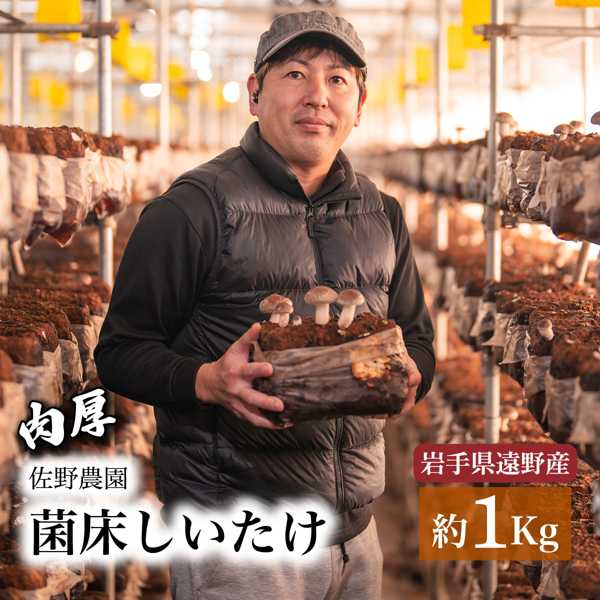 遠野産 菌床しいたけ 1kg 椎茸 しいたけ きのこ 菌床 遠野産 国産 出汁 だし 料理 肉厚  産地直送岩手県遠野市9000野菜・きのこその他 野菜