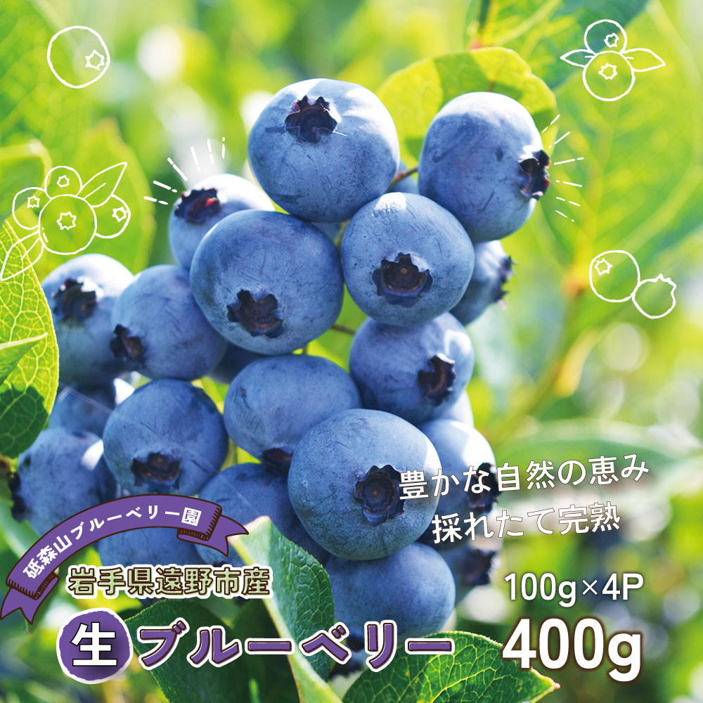  u[x[ 400g 茧 s HH[茧s10000ʕEt[c̑ ʕEt[c
