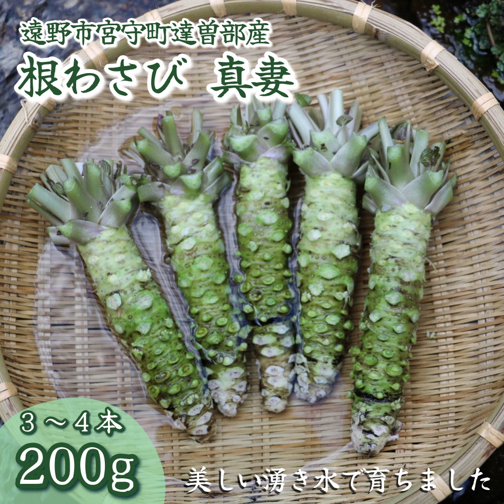 킳 ^ 200g (3`4 {) yHiz YҒ  VN 茧 s Y /hg  Xe[L  킳ј茧s13000؁Ê̑ 