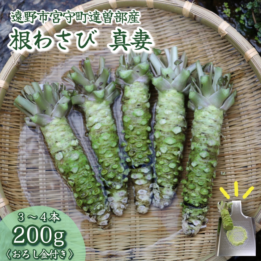 【生産者直送】宮守特産わさび 真妻(生) 200g(3〜4本)【わさび用おろし金付き】岩手県遠野市17000野菜・きのこその他 野菜