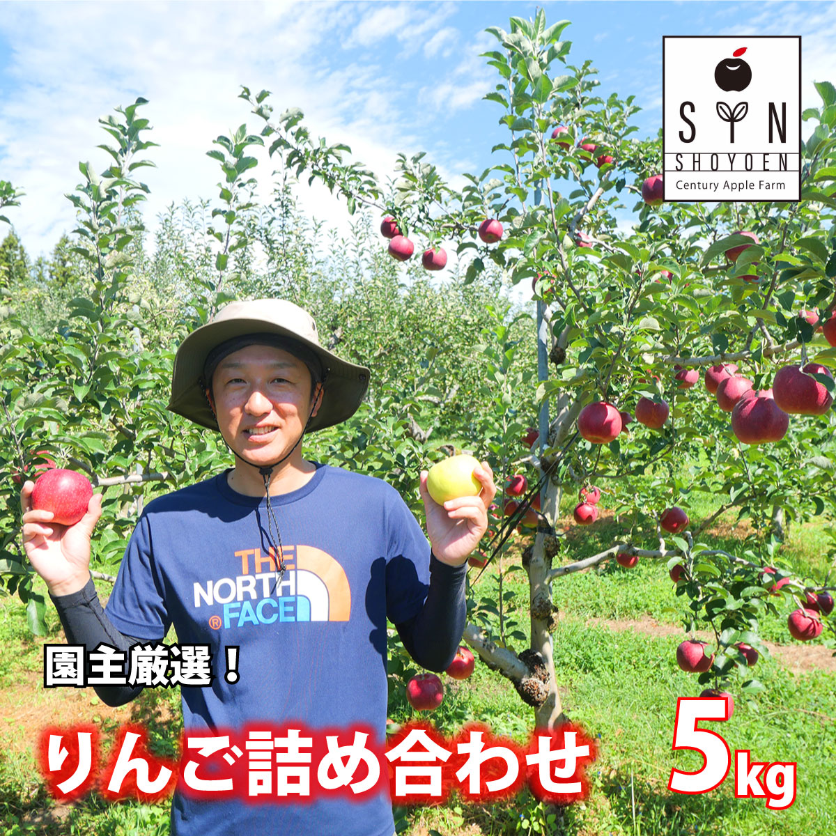 園主 厳選 りんご 詰め合わせ 5kg (約12〜18個) 松陽園 / 岩手県 遠野市 産 【10月中旬より順次発送】岩手県遠野市20000果物・フルーツりんご・梨