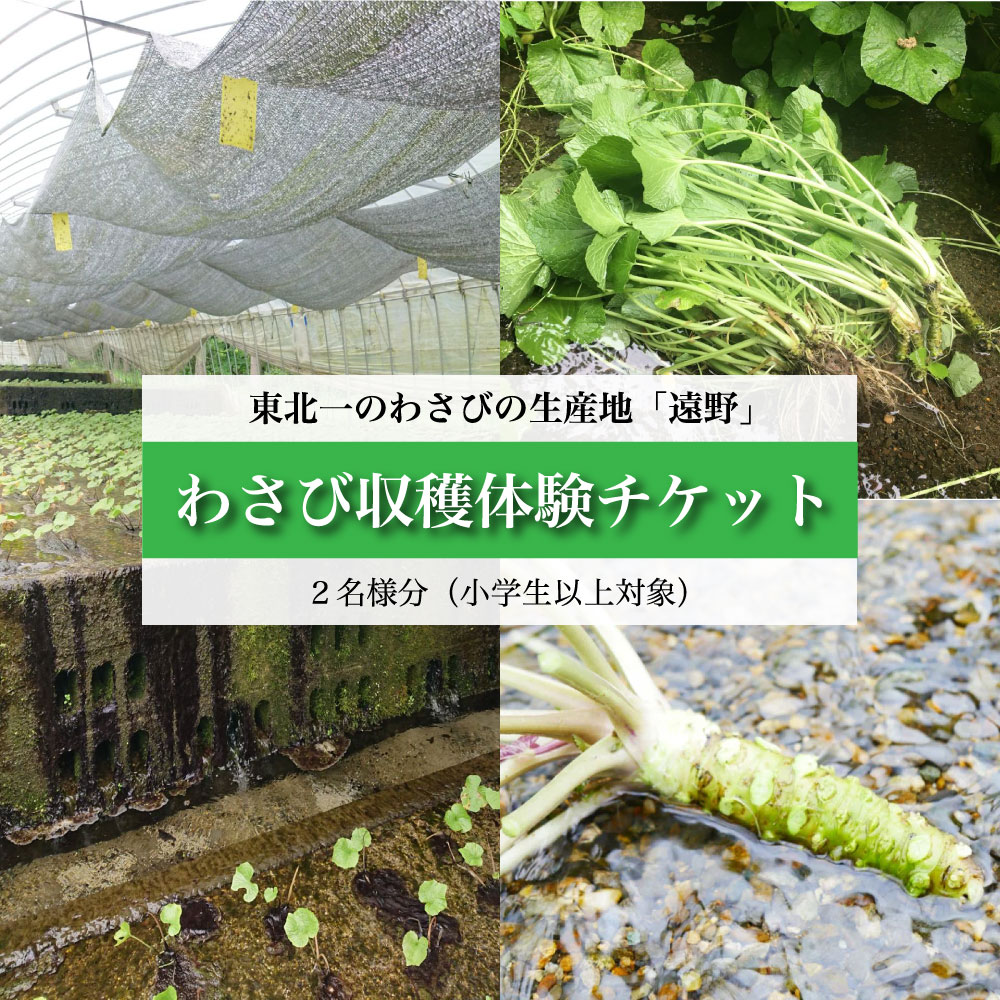 킳 n ̌ `Pbg i2lj / Tr R 茧 s {璬 B] Y k 񂽂ł[̉茧s37000؁Ê̑ 