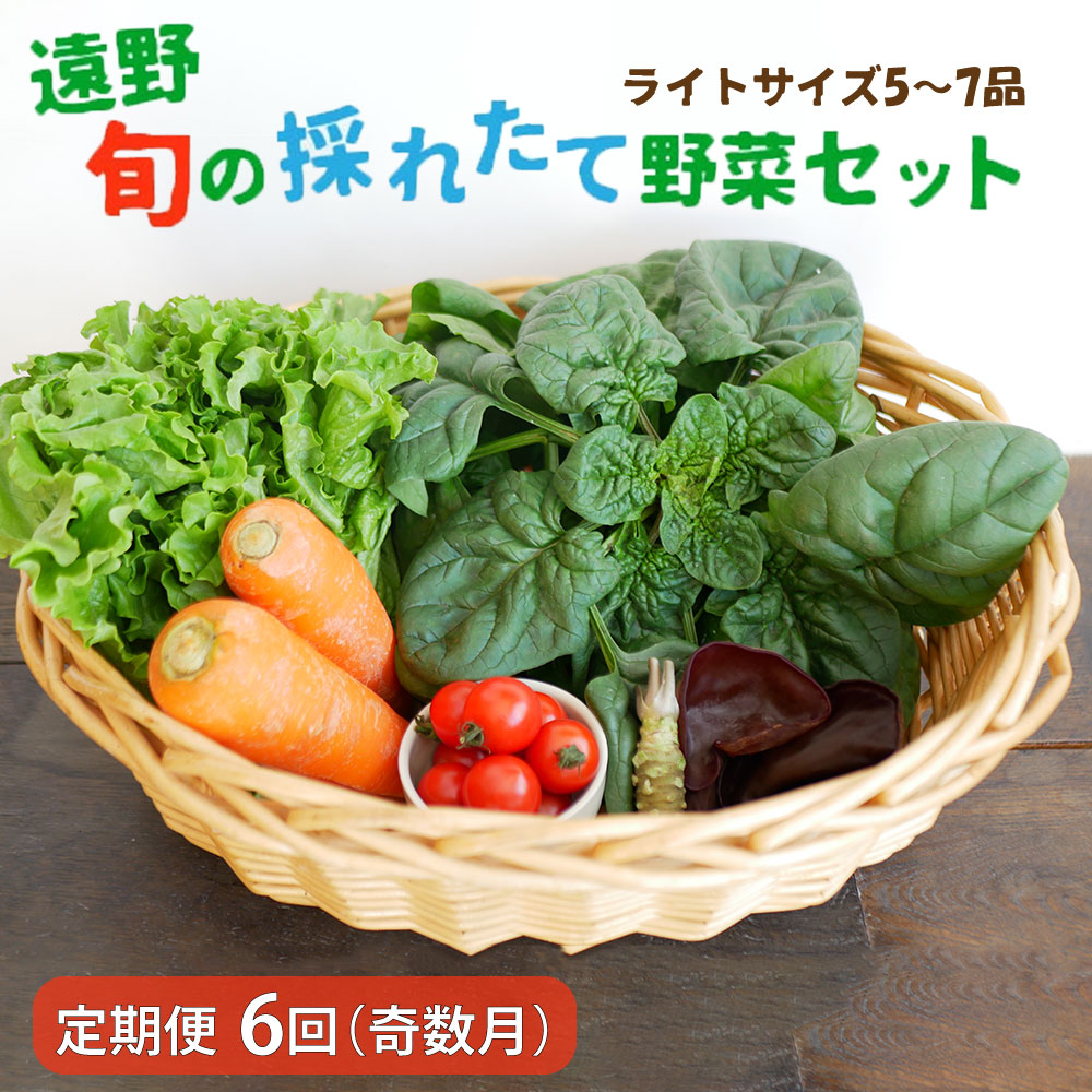 【 奇数月 6回 定期便 】 旬の採れたて 野菜 の詰め合わせ セット (5〜7品)ライトサイズ 【 こんたでぃーの遠野 】岩手県遠野市60000野菜・きのこその他 野菜
