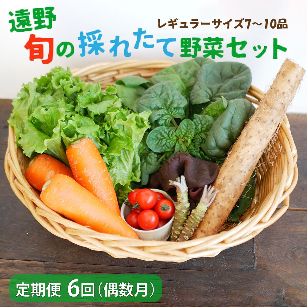 【 偶数月 6回 定期便 】 旬の採れたて 野菜 の詰め合わせ セット (7〜10品)レギュラーサイズ 【 こんたでぃーの遠野 】岩手県遠野市84000野菜・きのこその他 野菜