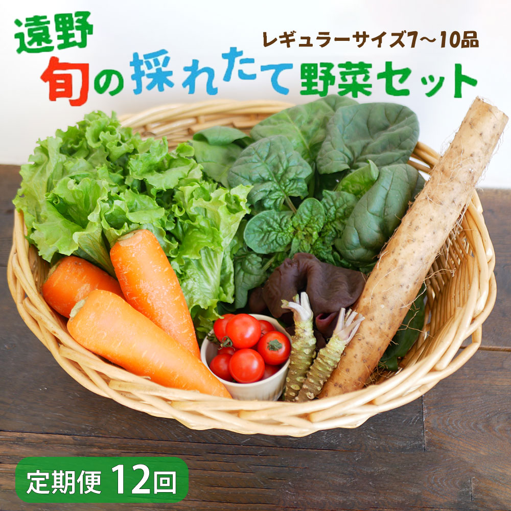 【 12回 定期便 】 旬の採れたて 野菜 の詰め合わせ セット (7〜10品)レギュラーサイズ 【 こんたでぃーの遠野 】岩手県遠野市156000野菜・きのこその他 野菜