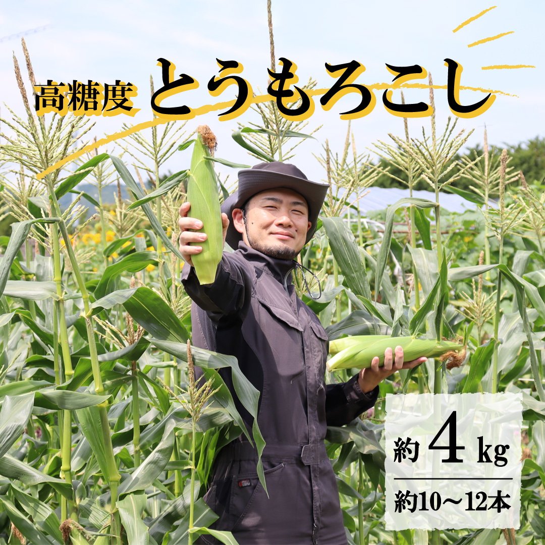 Ƃ낱 s\ x S[hbV  4kg L TCY 10~12{ 2025N 723 ~ 810 \ 茧 s er^ _ƒ Yn ̂ Â R[   gERV