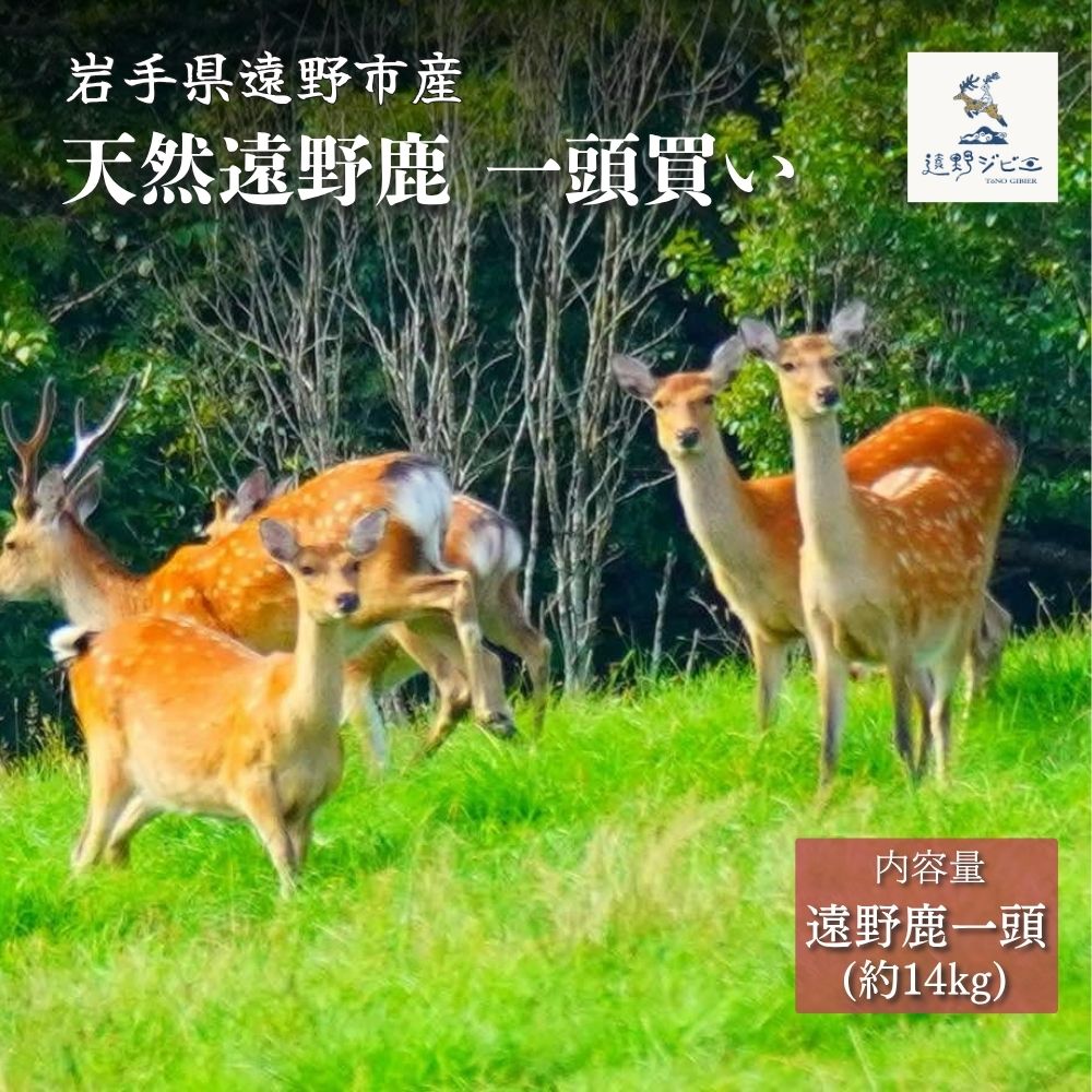 遠野鹿 1頭買い ・ 14kg 【遠野ジビエ】 / ジビエ 鹿肉 岩手県 遠野市 産 遠野ジビエの里 毘沙門商会合同会社岩手県遠野市67000肉