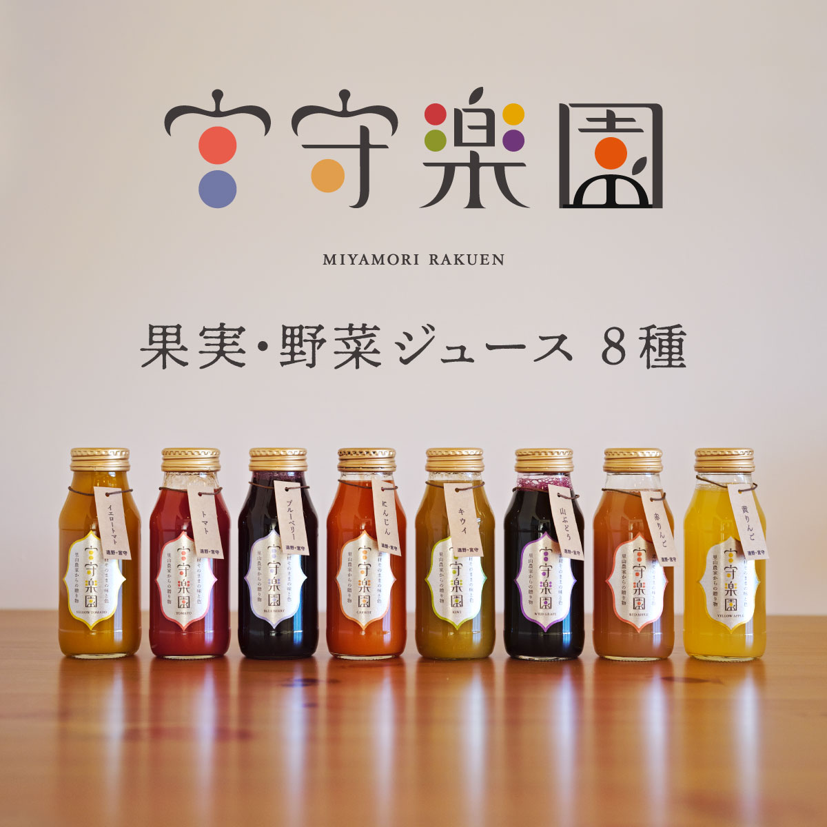 宮守楽園 果物 野菜 ジュース セット 180ml 8本 入り / 贈答 ギフト 詰め合わせ トマト ブルーベリー キウイ 山ぶどう 人参 りんご 国産 岩手県 遠野市 宮守町 加工 100% ストレート 野菜 果実 フ