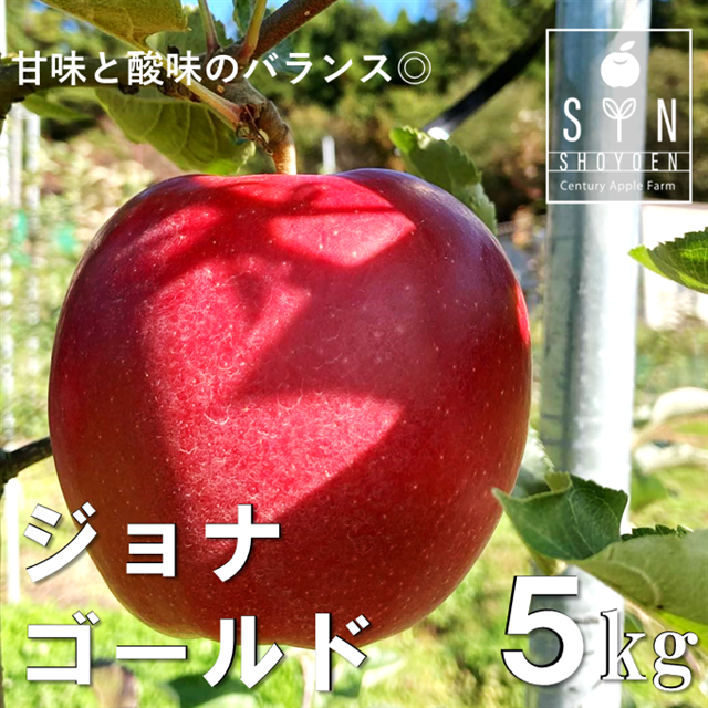 z  n  WiS[h 5kg 12`18 s\ 2023N10{ ь S t[c ʕ ʎ 茧 s Y  Mtg v[g _ƒ Yn yӂ邳