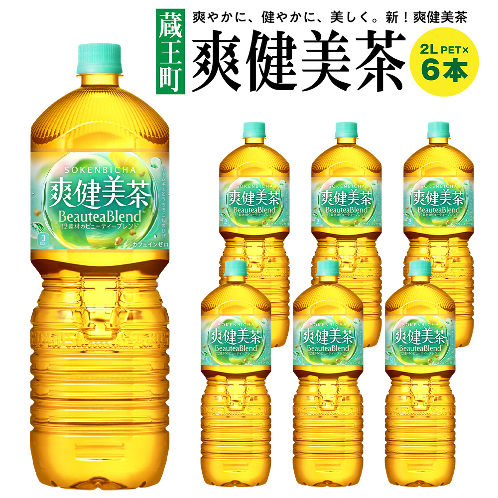 u2LPET×6{@y04301-0528z{錧6000E