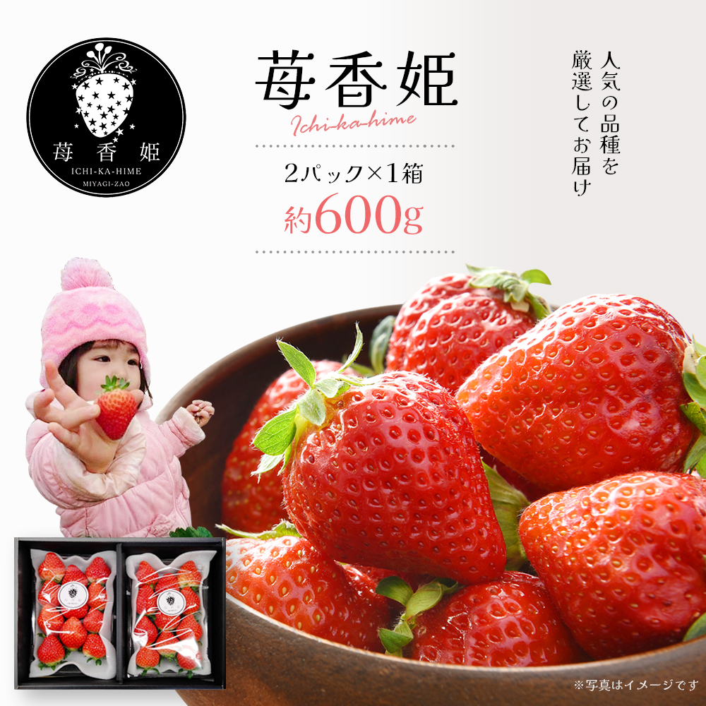 苺1箱(2パック入り/大きい苺/化粧箱)苺香姫〜ICHIKA-HIME〜 【04301-0563】宮城県蔵王町8000果物・フルーツいちご