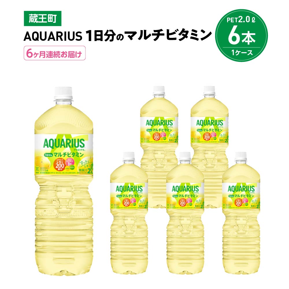 【6か月連続お届け】アクエリアス1日分のマルチビタミン 2L PET×6本 【04301-0681】宮城県蔵王町36000お茶・飲料