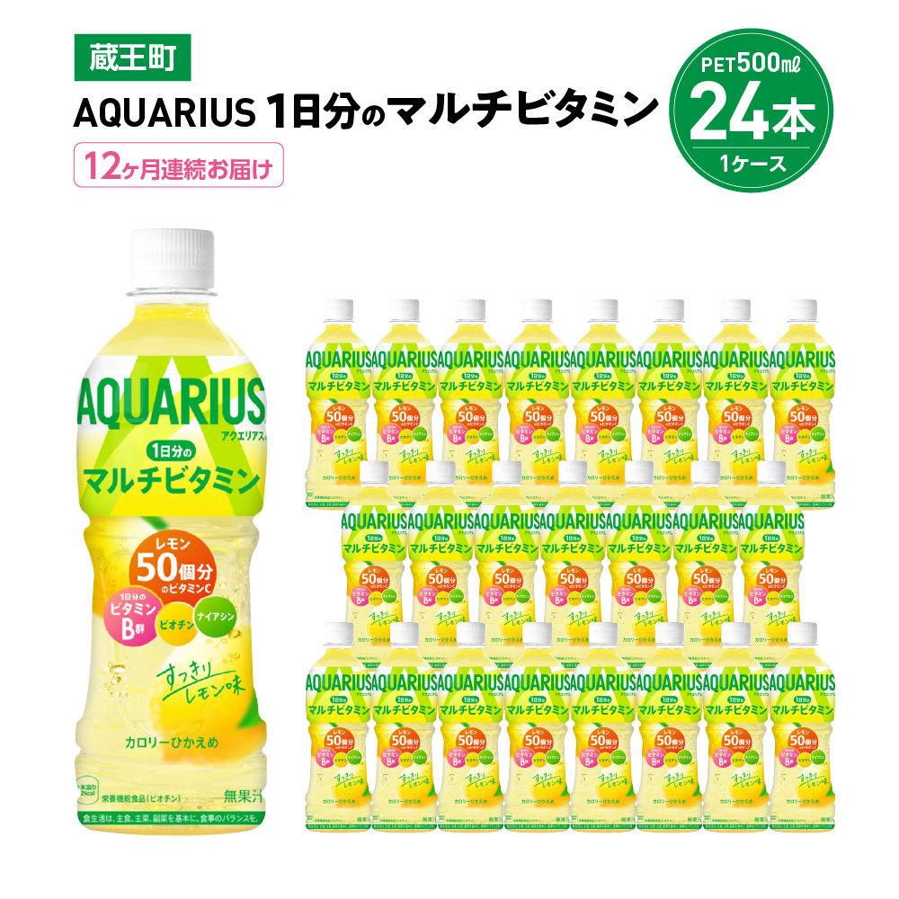 【12か月連続お届け】アクエリアス1日分のマルチビタミン 500ml PET×24本 【04301-0689】宮城県蔵王町108000お茶・飲料