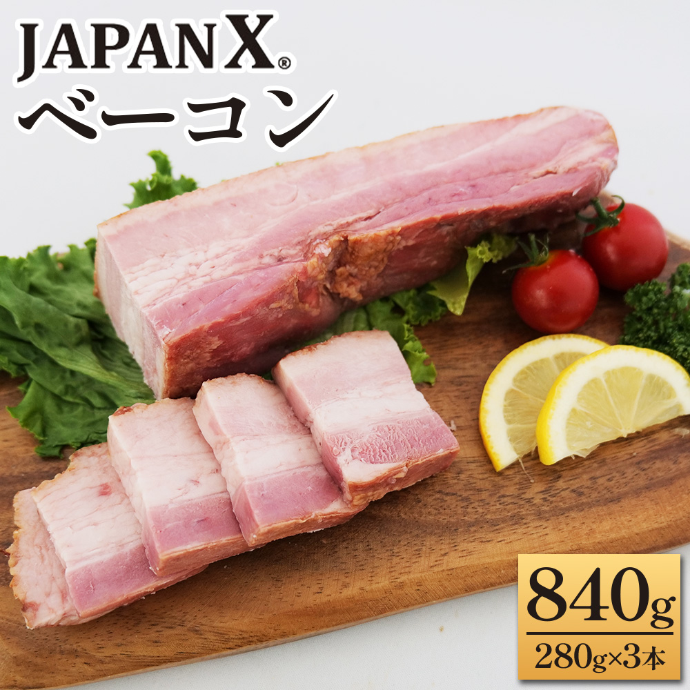 JAPAN X x[R840gi280g×3j@ؓ  uh  n x[R WpGbNX  lCy04301-0766z{錧13000Ei`[Y