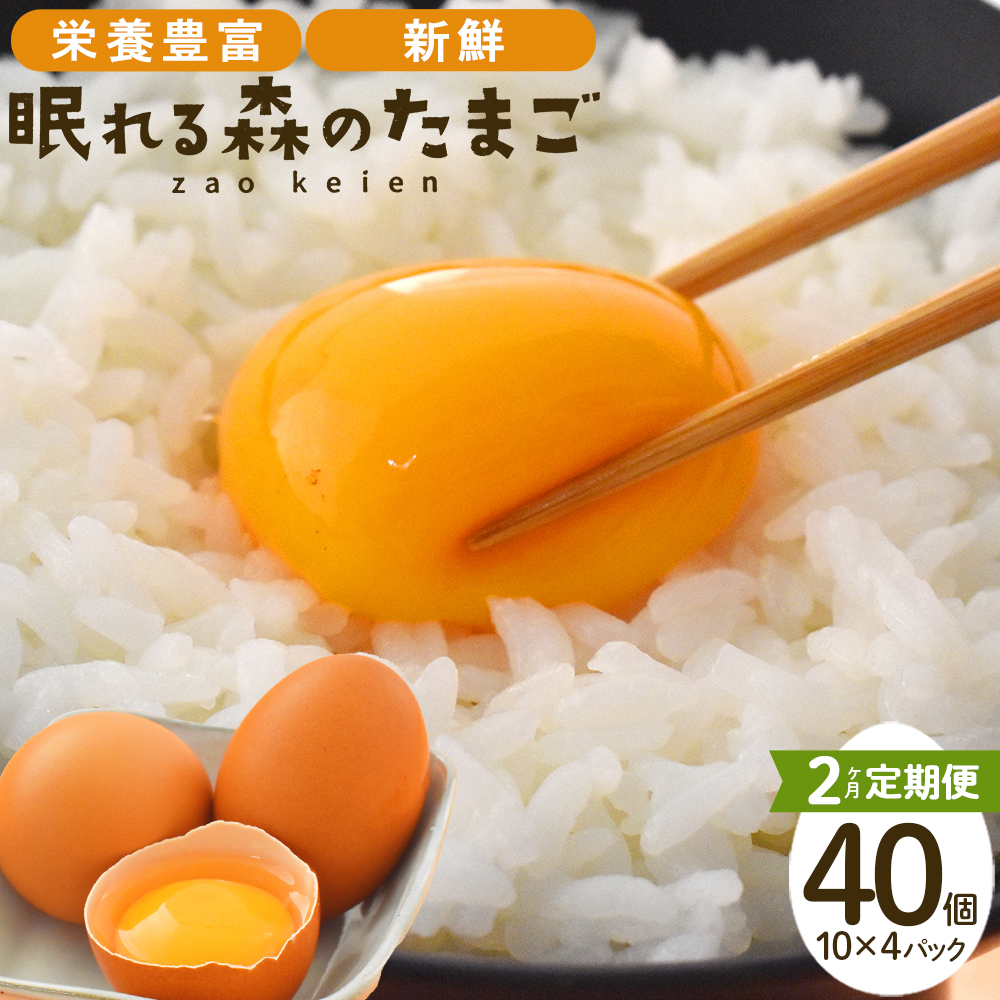 【2か月連続お届け】眠れる森のたまご 朝採れ卵40個 たまご タマゴ 卵 鶏卵 濃厚 こだわり 新鮮 定期便 【04301-0797】宮城県蔵王町14000卵・乳製品卵(鶏、烏骨鶏等)