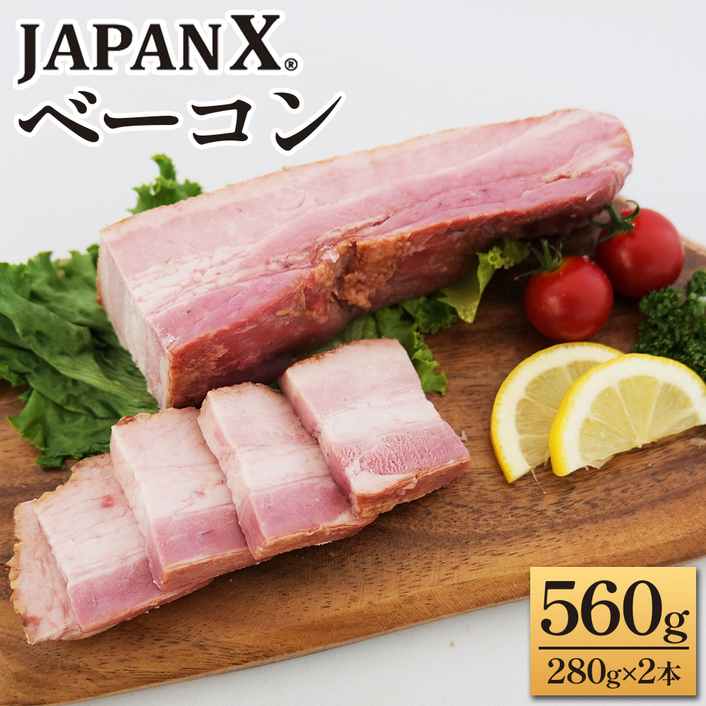 JAPAN Xx[R560g 2{i280g×2j@ؓ  uh  n x[R WpGbNX  lCy04301-0890z{錧9000Ei`[Y