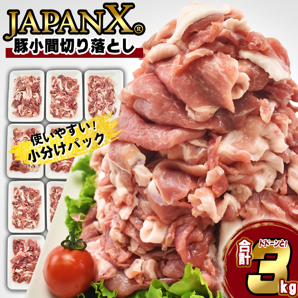 JAPAN X ؏Ԑ؂藎Ƃ/v3kg@y04301-0067z{錧11000ؓ