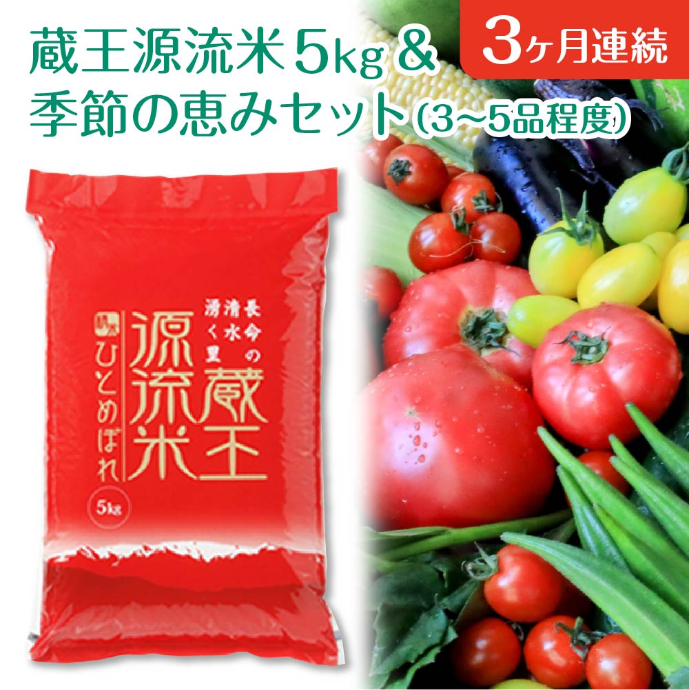 【3ヶ月連続】<令和6年産米>蔵王源流米5kg&季節の恵みセット(3〜5品程度) 【04301-0138】宮城県蔵王町40000野菜・きのこその他 野菜