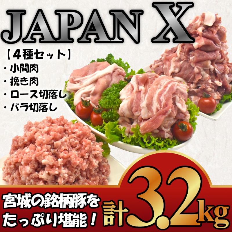 YJAPAN X@ؓoGeBZbg@3.2kg@y04301-0366z{錧13000