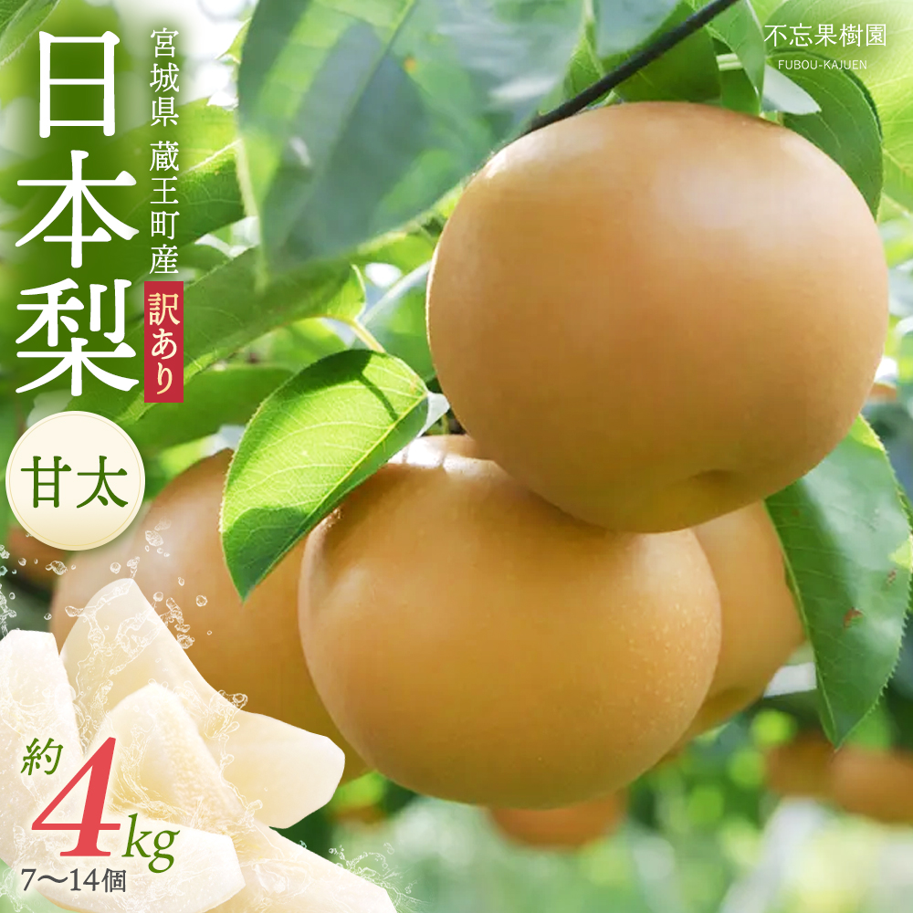 【先行予約】【訳あり】日本梨(甘太)4kg(大玉7〜14玉入り) 蔵王産 【04301-0454】宮城県蔵王町12000果物・フルーツりんご・梨