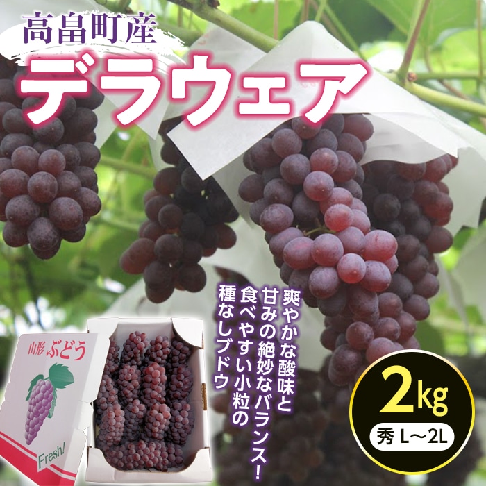 ≪2025年先行予約≫山形県 高畠町産 朝取り デラウェア 秀 L～2L 約2kg(12～16房) 2025年7月下旬から順次発送 種無し 食べやすい  ぶどう ブドウ 葡萄 くだもの 果物 フルーツ 夏果実 箱入り 中元 贈り物 ギフト 自宅 家庭 産地直送 農家直送 F20B-581 | 山形県