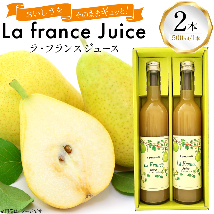 EtX W[X 500ml v2{ Zbg [͂ʎ R`  tk06ays650014] EtX m W[X  ݕ t[c ʕR`15000E