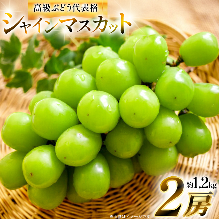 yԌ蔭z VC}XJbg 2[ 1.2kg [BqK R`  tk06ays830004] l t[c ʕ  Ԃǂ uhE  1.2L ÂR`15000ʕEt[c}XJ
