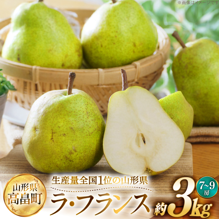 yԌ蔭z EtX Y EtX 7`9  3kg [JAR` R`  tk06ays870042]  m ʕ  t[c 3LR`14500ʕEt[c