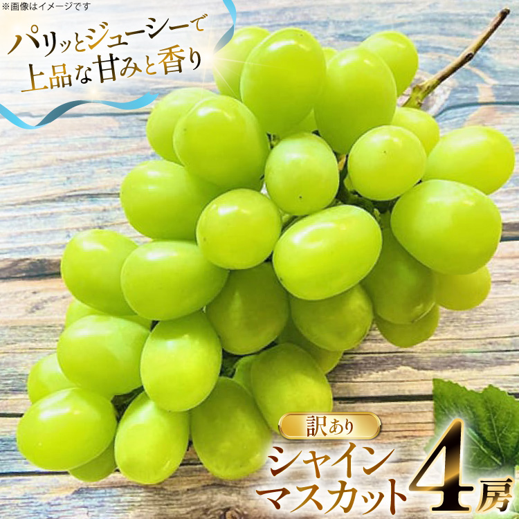 yԌ蔭z VC}XJbg 󂠂 4[ 2.2kg [O̗ R`  tk06ays960001] t[c ʕ  Ԃǂ uhE  2.2L ÂR`21000ʕEt[c}XJ
