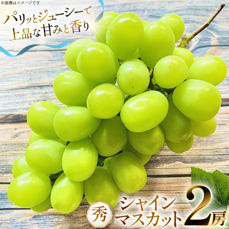 yԌ蔭z VC}XJbg G 2[  1.2kg [O̗ R`  tk06ays960002] t[c ʕ  Ԃǂ uhE  1.2L ÂR`14000ʕEt[c}XJ