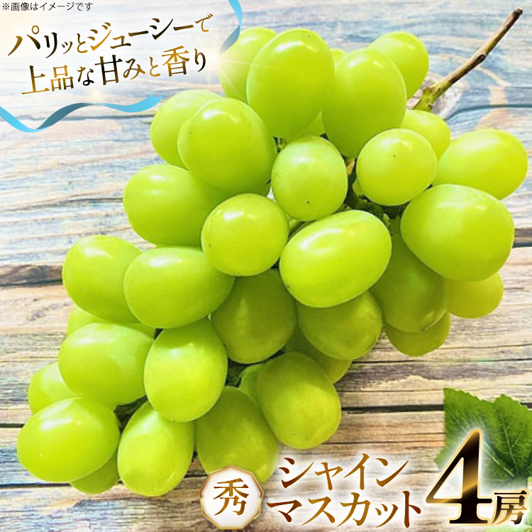 yԌ蔭z VC}XJbg G 4[  2.4kg [O̗ R`  tk06ays960003] t[c ʕ  Ԃǂ uhE  2.4L ÂR`25000ʕEt[c}XJ