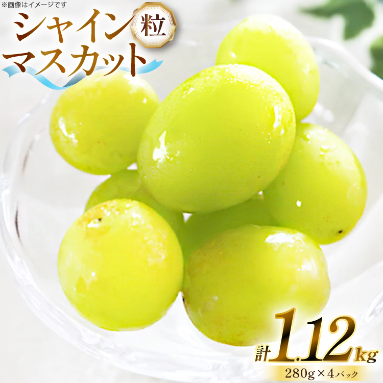 yԌ蔭z VC}XJbg  280g 4p 1.12kg ̂ [O̗ R`  tk06ays960007] t[c ʕ  Ԃǂ uhE  嗱 ÂR`12500ʕEt[c}