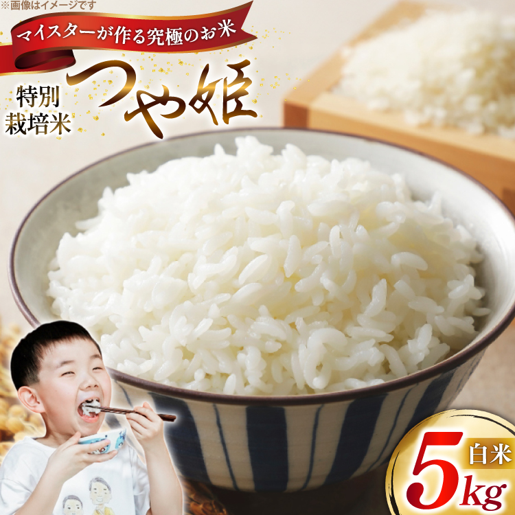  ߘa7N P}CX^[ ʍ͔| P 5kg [_ R`  tk06ayt120012] 5L  uh ͂    ߎR`23500āEp