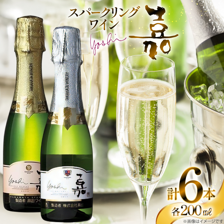 Xp[NO ~j{g ÃXp[NOC h&ÌZbg200ml×6{ [cX R`  tk06ayt180036] h Ì C  R`22000EAR[C