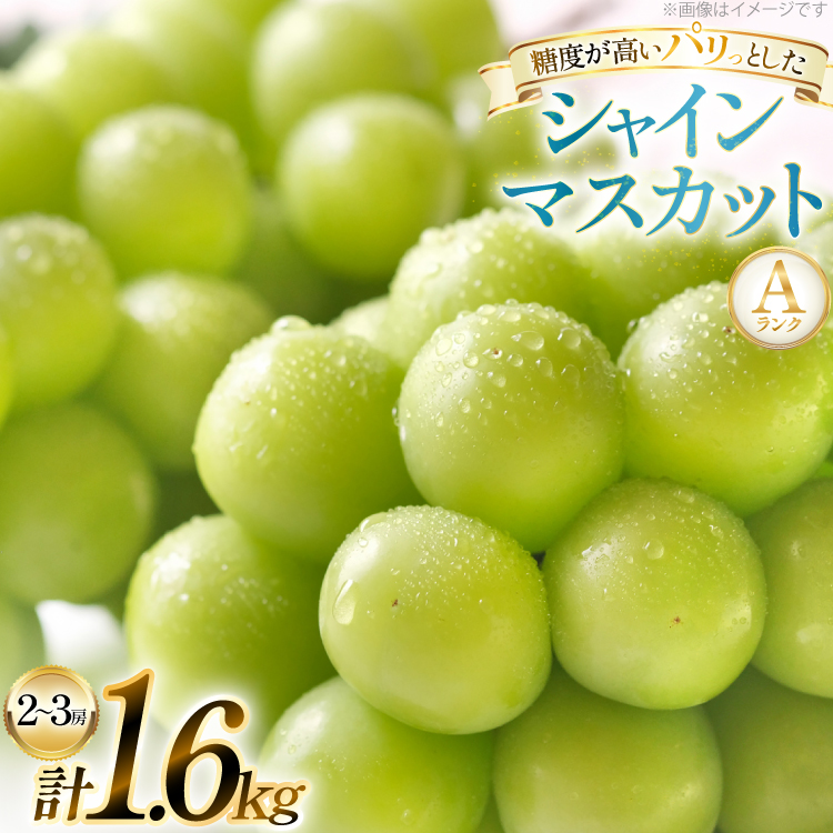 yԌ蔭z VC}XJbg AN 2`3[1.6kg [c_ R`  tk06ayt230005] Ԃǂ uhE  }XJbg t[c ʕ  Yn _ƒR`17500